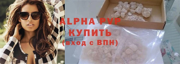 PSILOCYBIN Аркадак