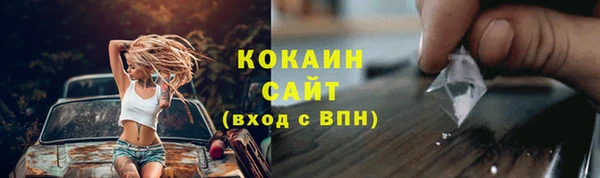 PSILOCYBIN Аркадак
