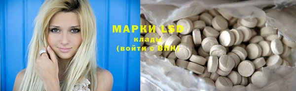 PSILOCYBIN Аркадак