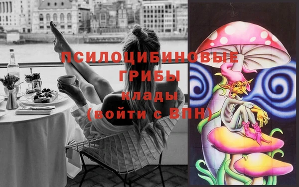 МДПВ Армянск