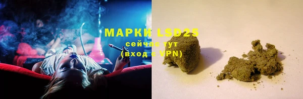 PSILOCYBIN Аркадак