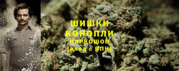 PSILOCYBIN Аркадак