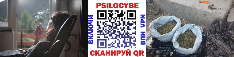 Псилоцибиновые грибы GOLDEN TEACHER Хилок